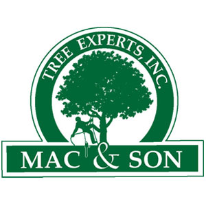 Mac and Son Tree Experts LLC Logo